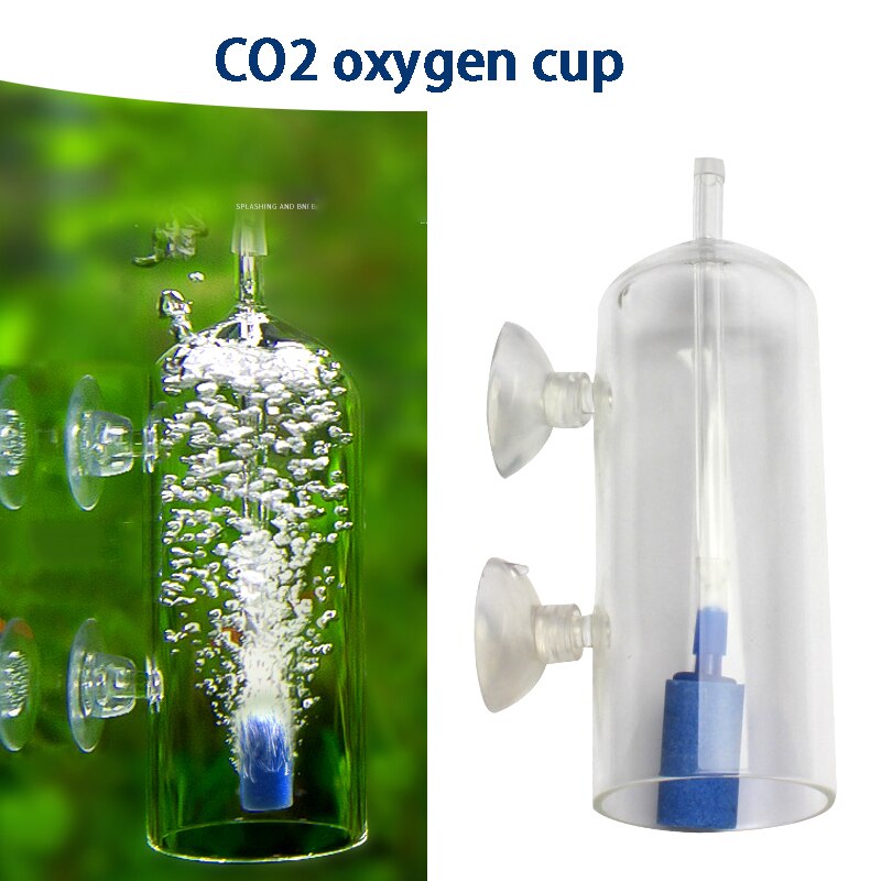 Aquarium Cylinder Crystal Glass Dissolved Oxygen Water Bubble Splash