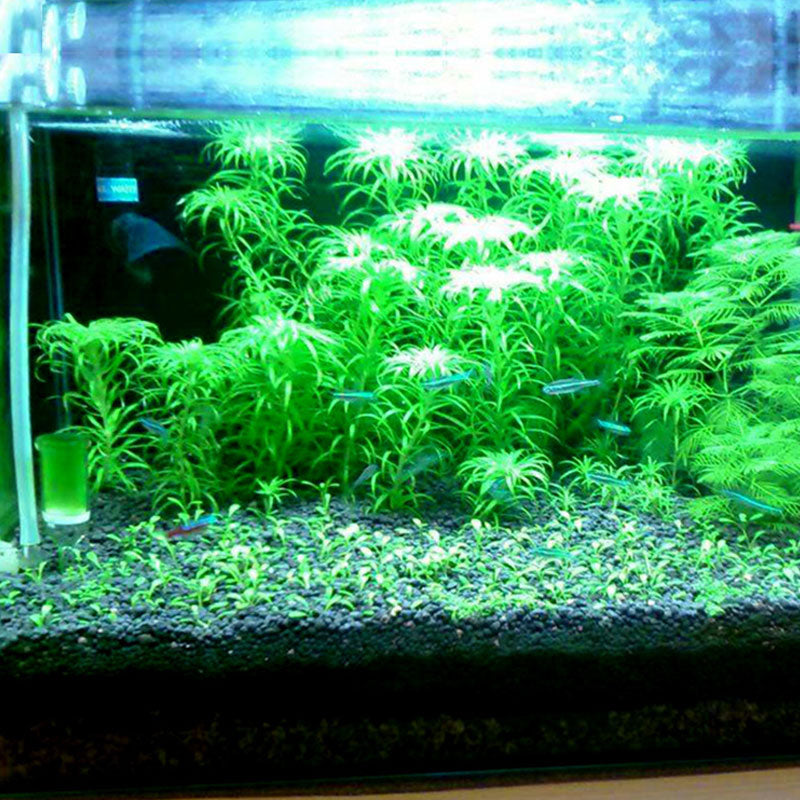 Aquarium Fertilizer Aquatic Plant Substrate Landscaping Materials