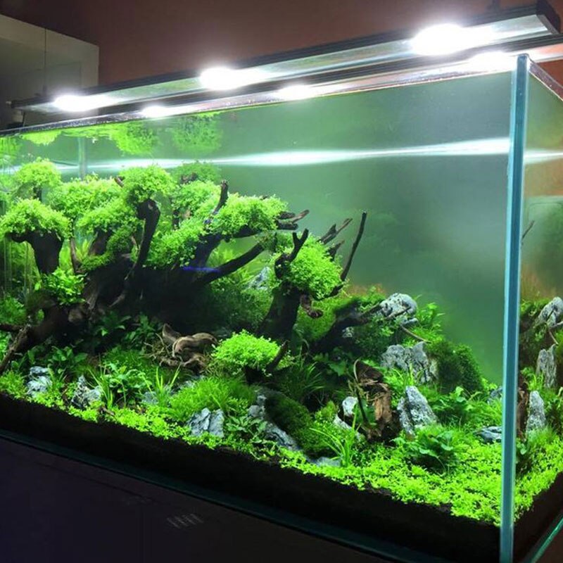 Aquarium Fertilizer Aquatic Plant Substrate Landscaping Materials