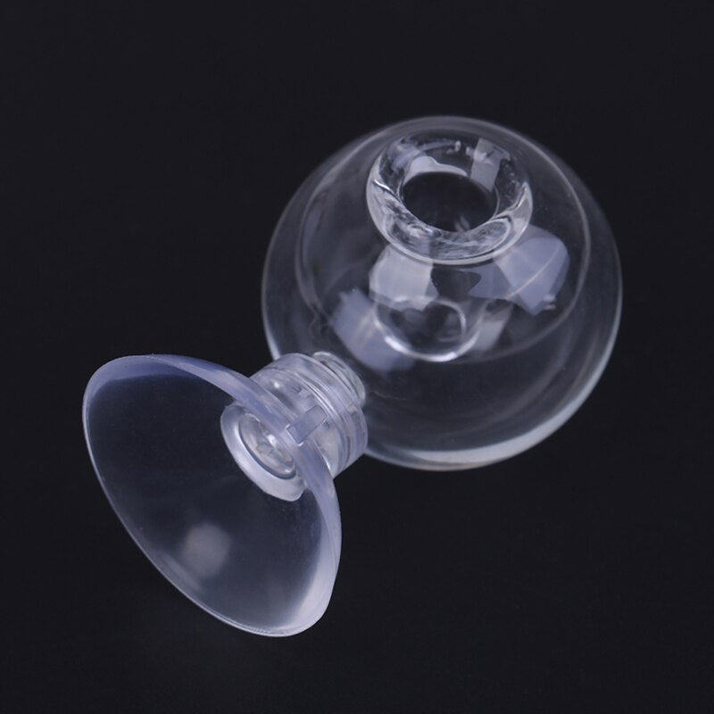 Aquarium Fish Tank Carbon Dioxide