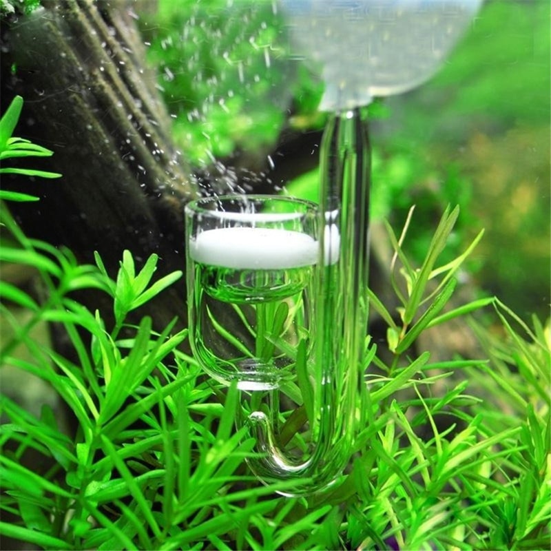 Aquarium Glass CO2 Diffuser