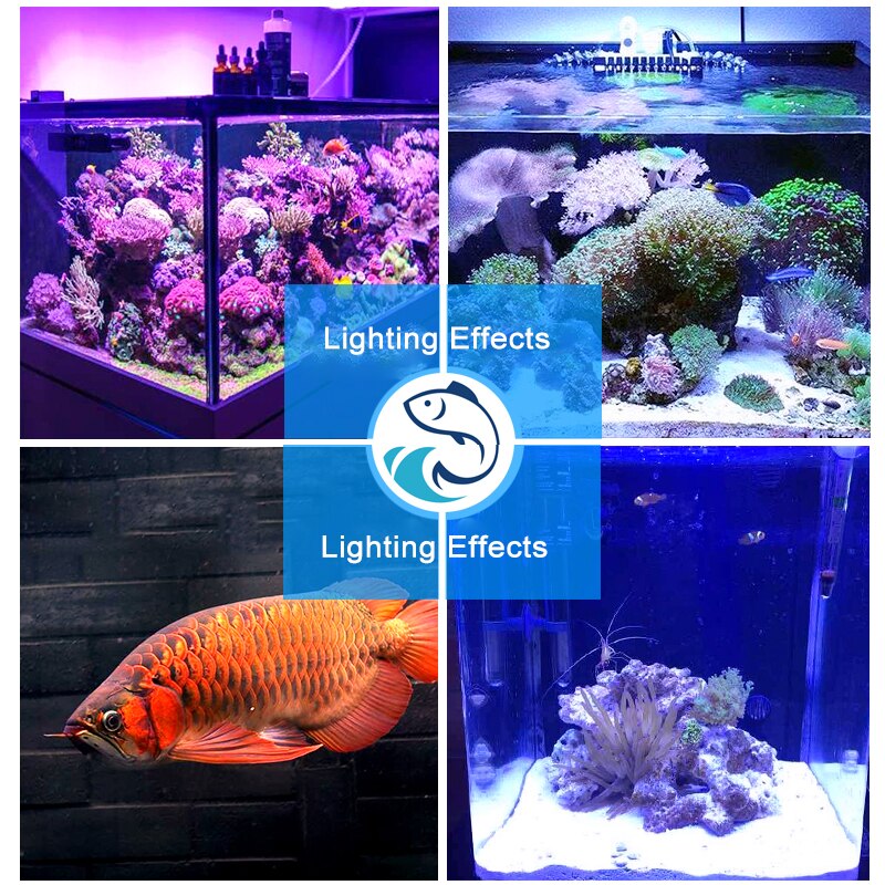 Aquarium Light LED Waterproof for Fish Tank