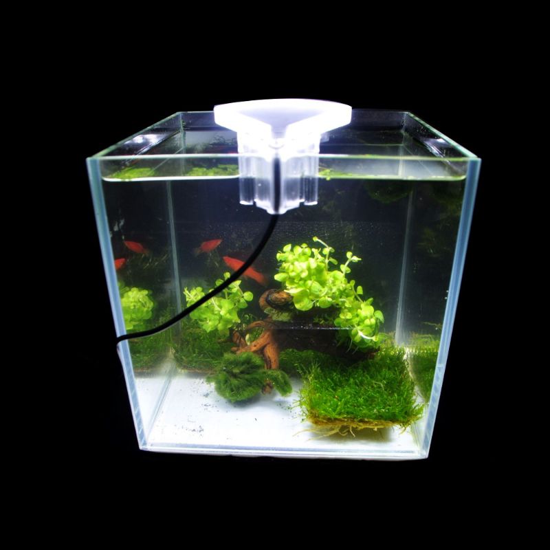 Aquarium Lights Small LED Clip Lamp for Fish Tanks with Separate Power