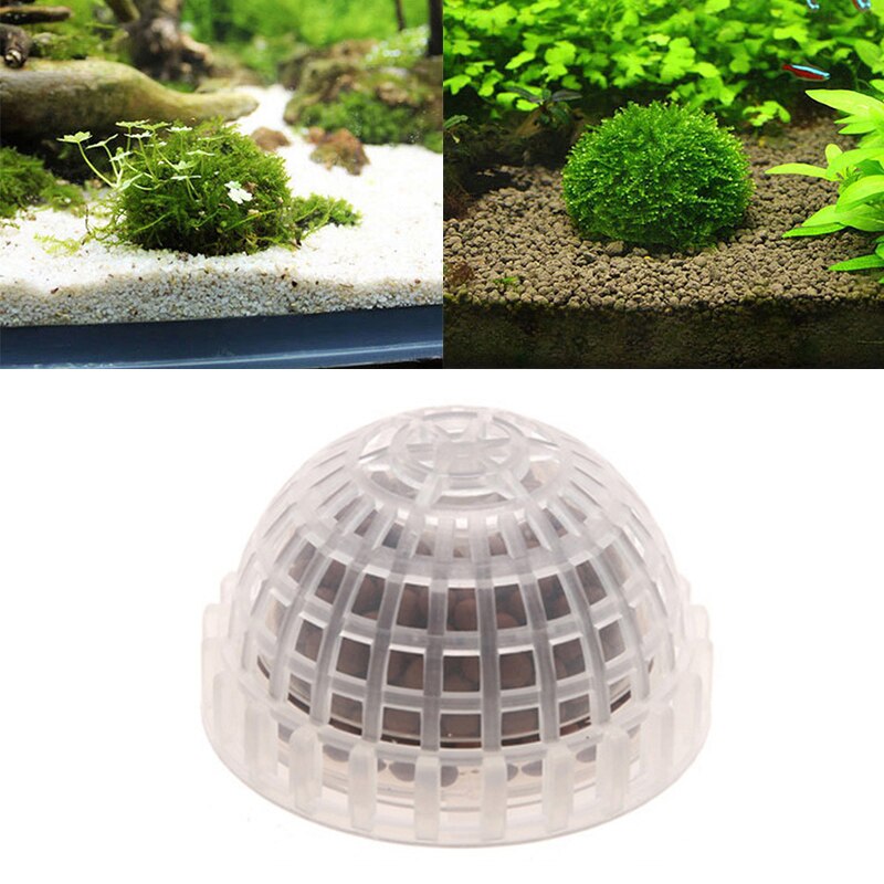Aquarium Moss Ball Filtration Decor Live Aquarium Plant Algae Pet Fish