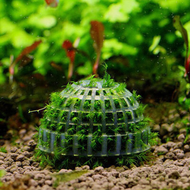 Aquarium Moss Ball Filtration Decor Live Aquarium Plant Algae Pet Fish