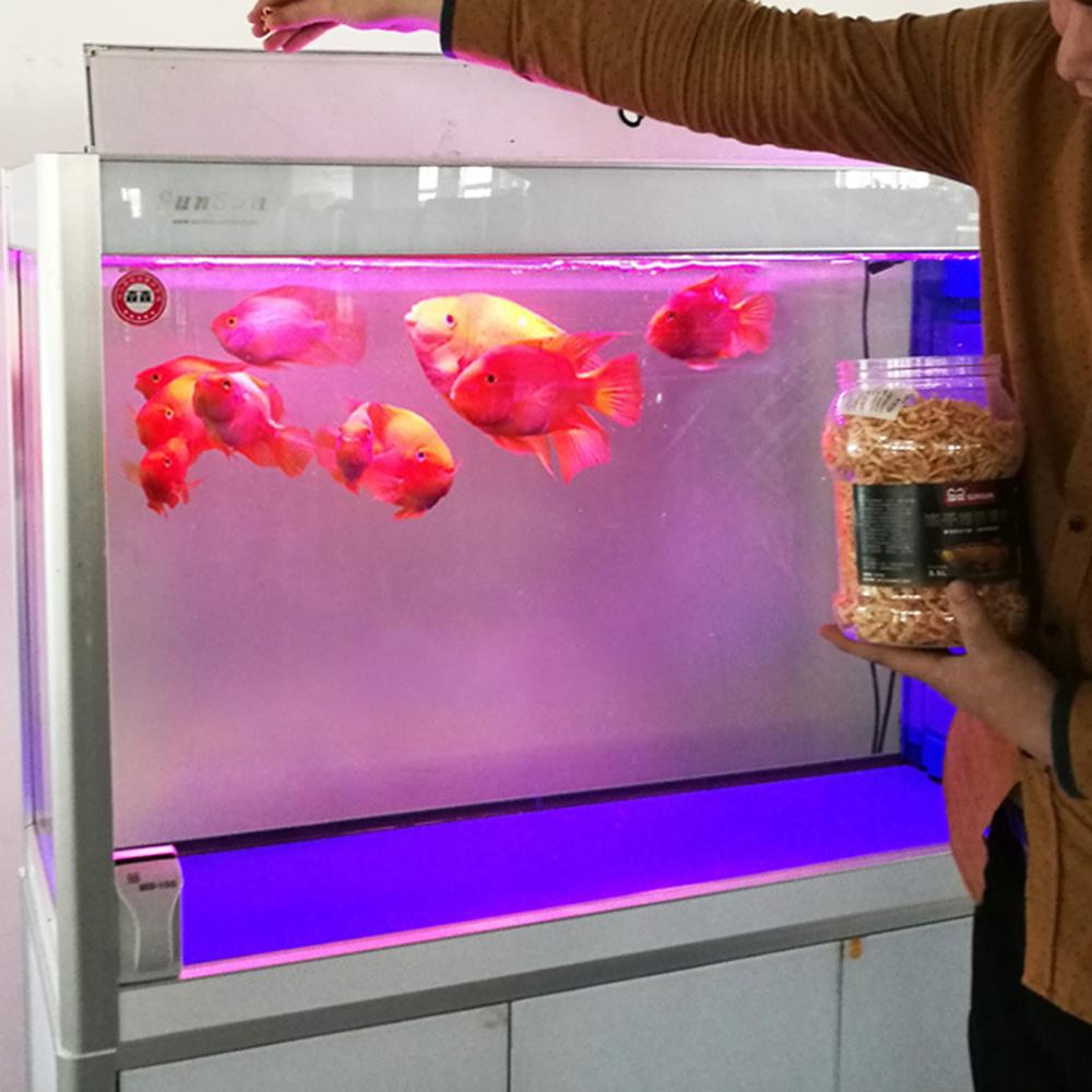 Aquarium Tropical Fish Foods