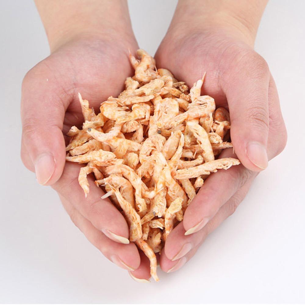 Aquarium Tropical Fish Foods