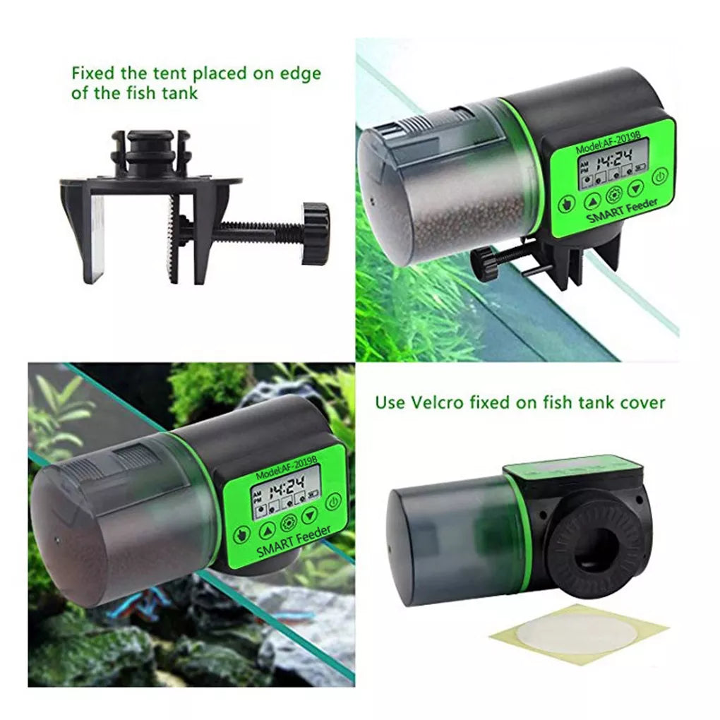 Automatic Fish Tank Feeder