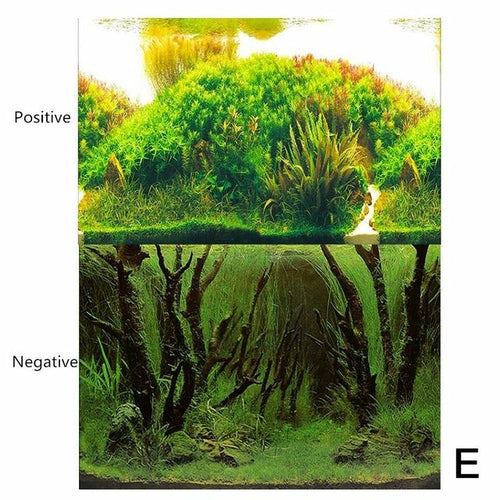 Background For Aquarium Decoration Fish Tank Plants For Aquarium