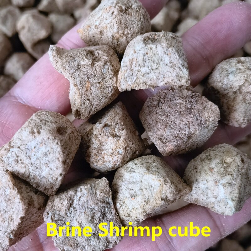 Brine Shrimp Cube