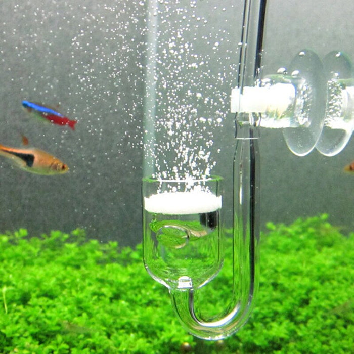 CO2 Diffuser Aquarium Glass