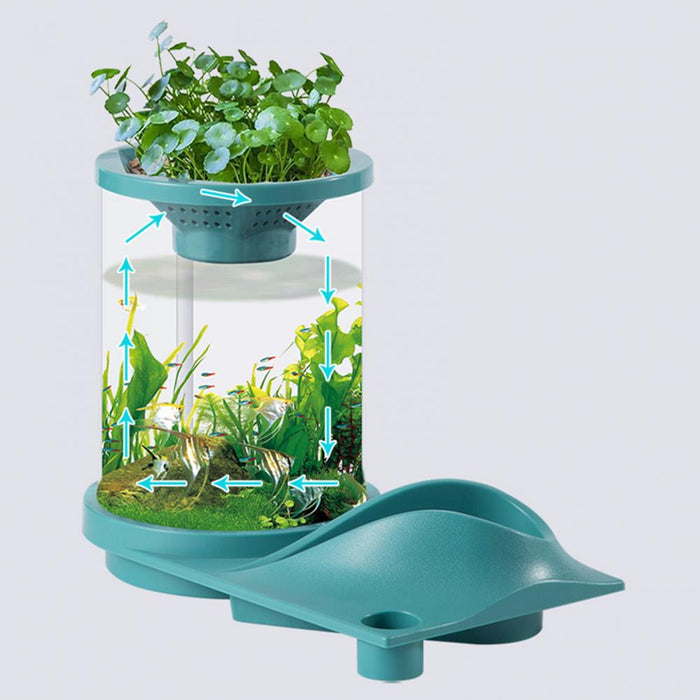 Chic Aquarium Tank Sturdy Fish Tank High Transparency Ornamental