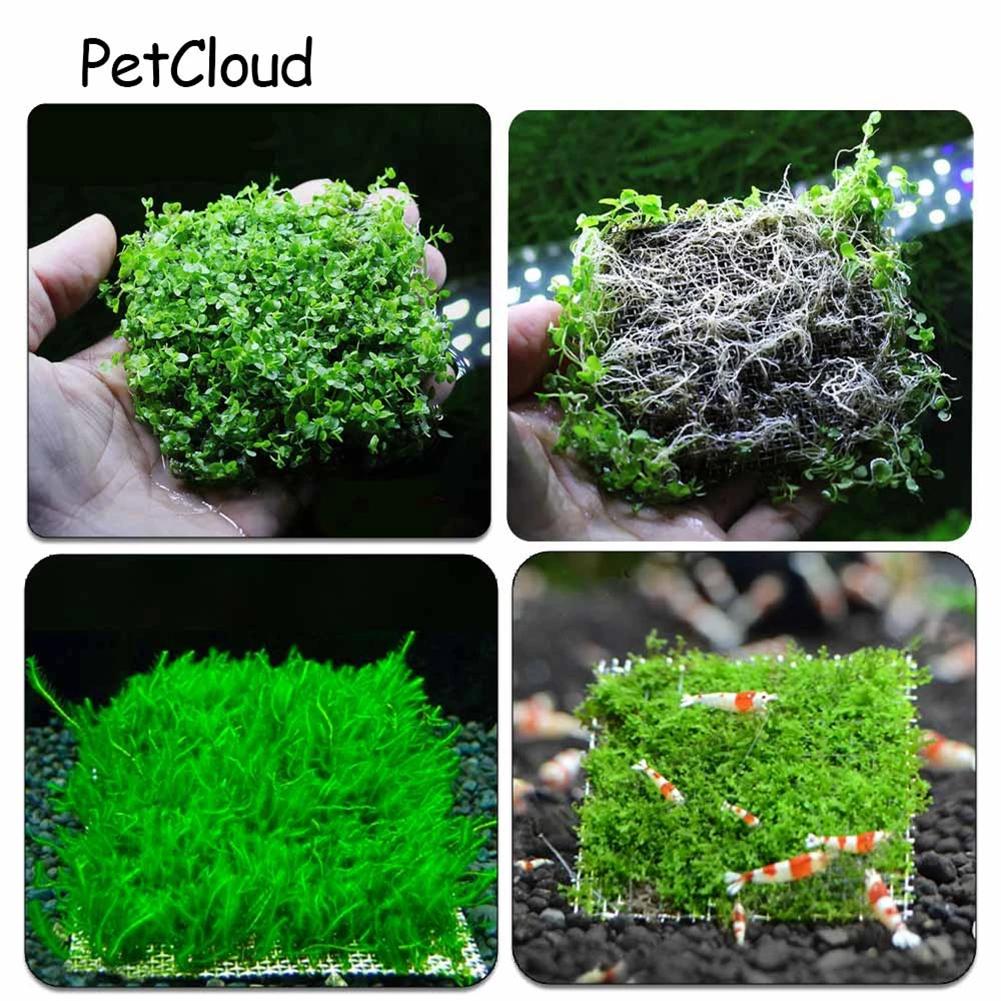 DIY Aquarium Decoration Net For Aquarium Plant Live Stainless Steel