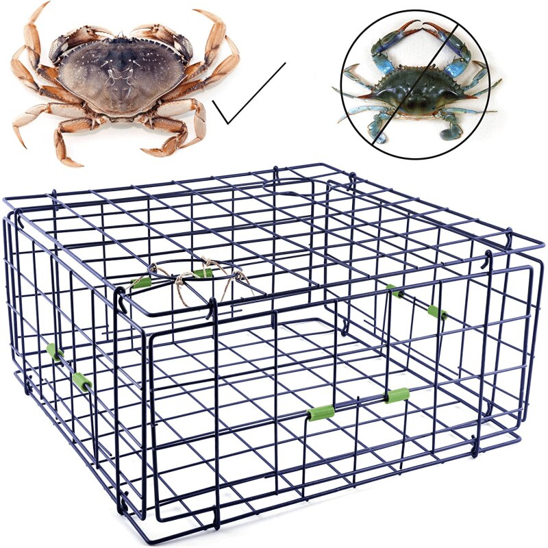 Danielson 24" Fold Up Pacific Crab Trap