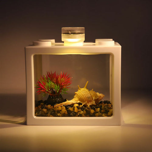 Desktop Aquarium Creative Small Mini Ecological Landscape Plastic