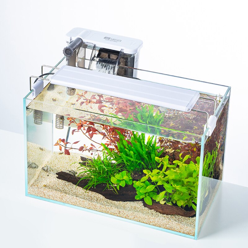Desktop Aquarium Creative Small Mini Ecological Landscape Plastic