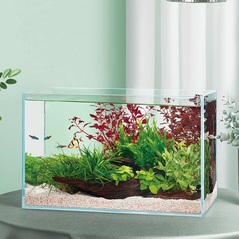 Desktop Aquarium Creative Small Mini Ecological Landscape Plastic