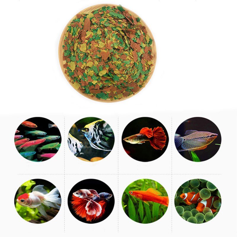 Fish Food Coloring And Brightening Feed