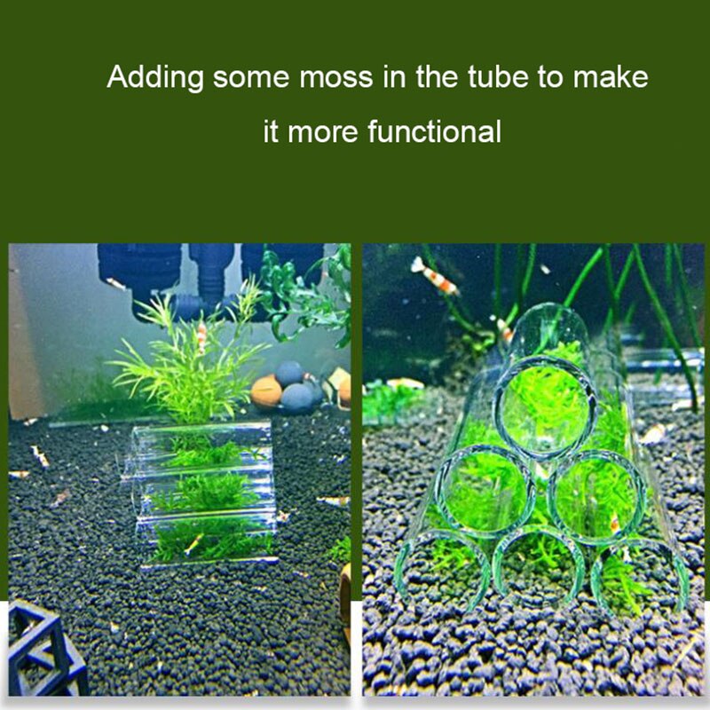 Glass Acrylic Aquarium Decoration