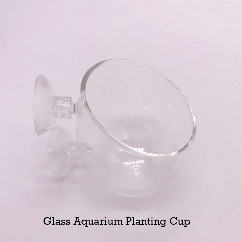 Glass Aquarium decoration