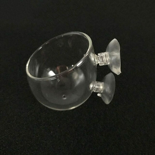 Glass Aquarium decoration