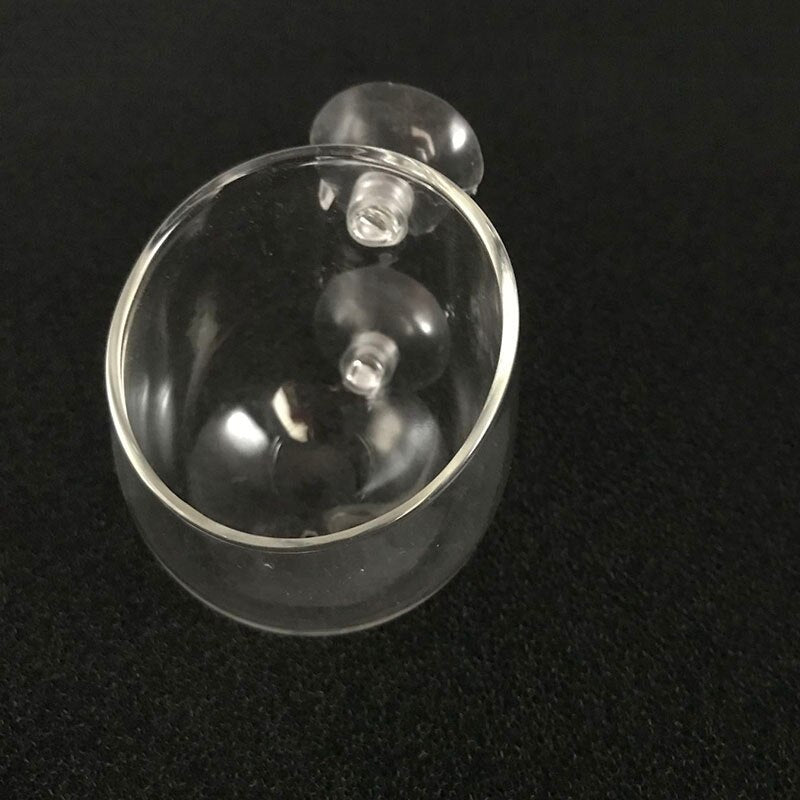 Glass Aquarium decoration