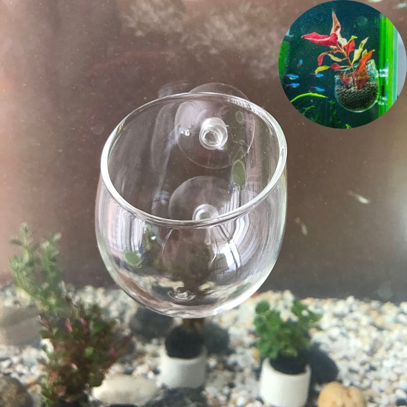 Glass Aquarium decoration