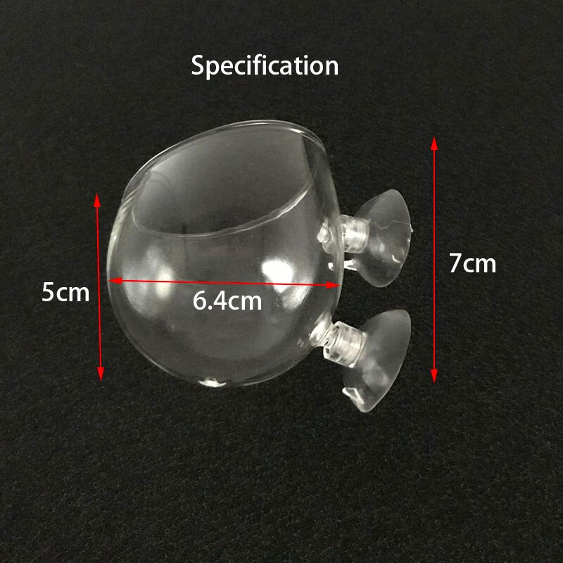 Glass Aquarium decoration