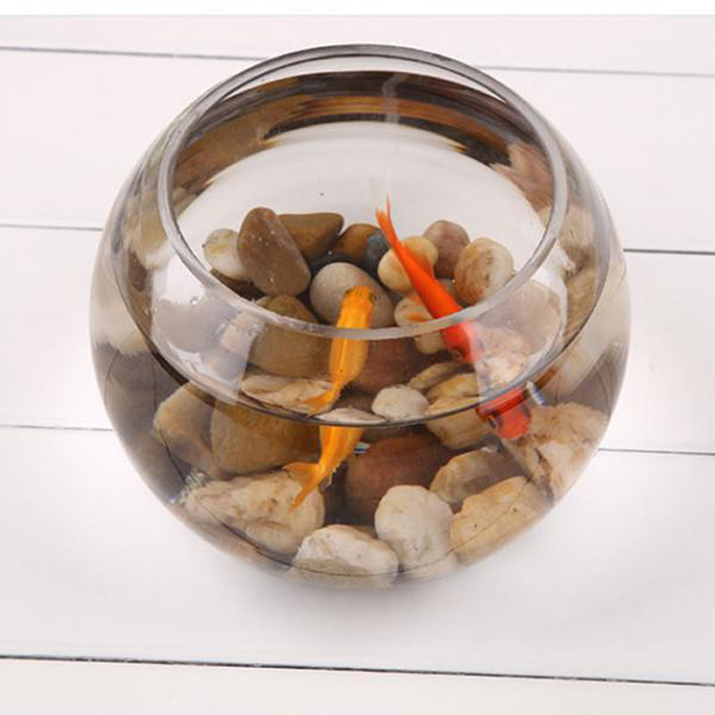 Fish Tank Bowl Aquarium Plant Pot