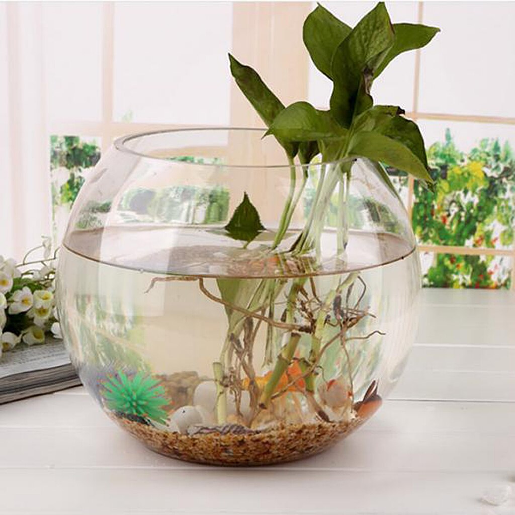 Fish Tank Bowl Aquarium Plant Pot