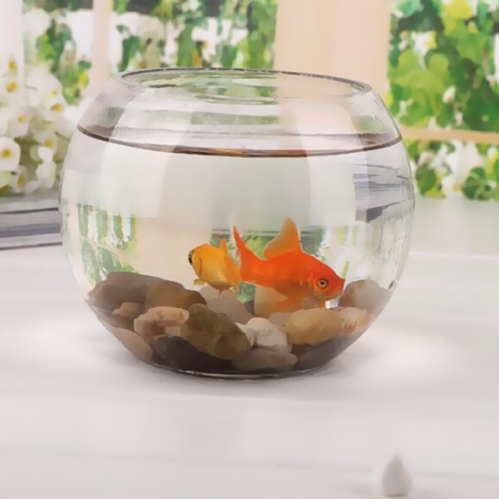 Fish Tank Bowl Aquarium Plant Pot