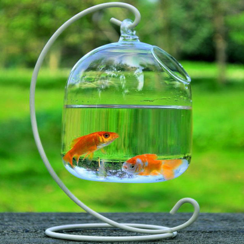 Hanging Transparent Glass Vases Fishbowl Fish Tanks Handmade Aquarium