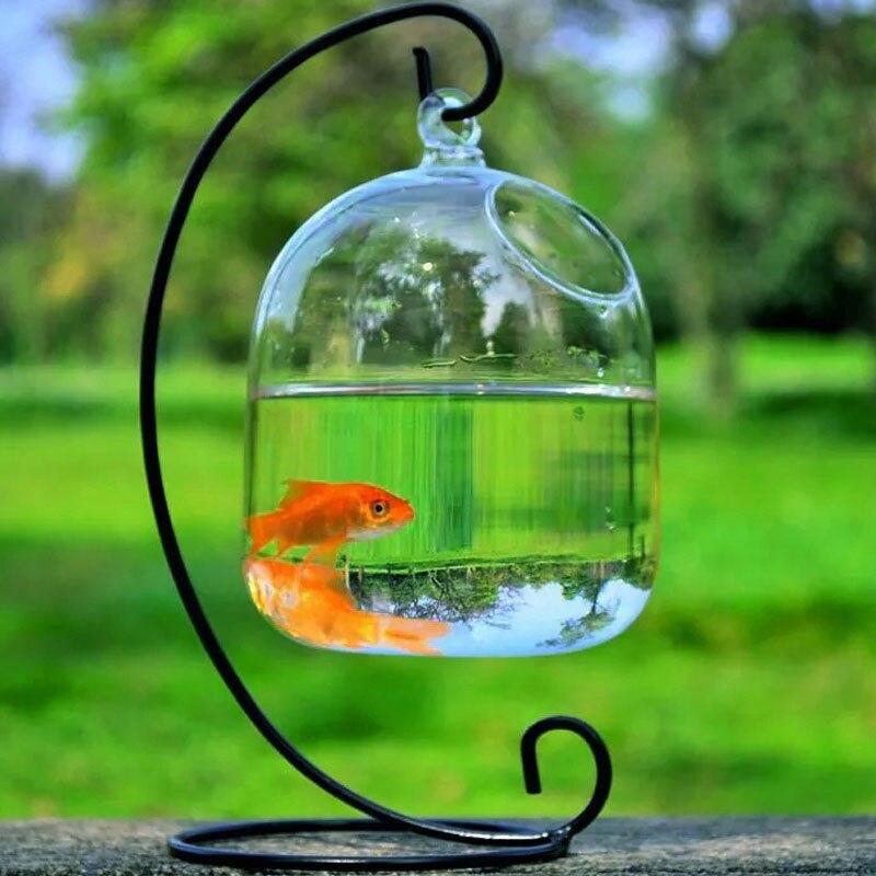 Hanging Transparent Glass Vases Fishbowl Fish Tanks Handmade Aquarium