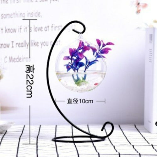 Home/Office  Hanging Aquarium Plant