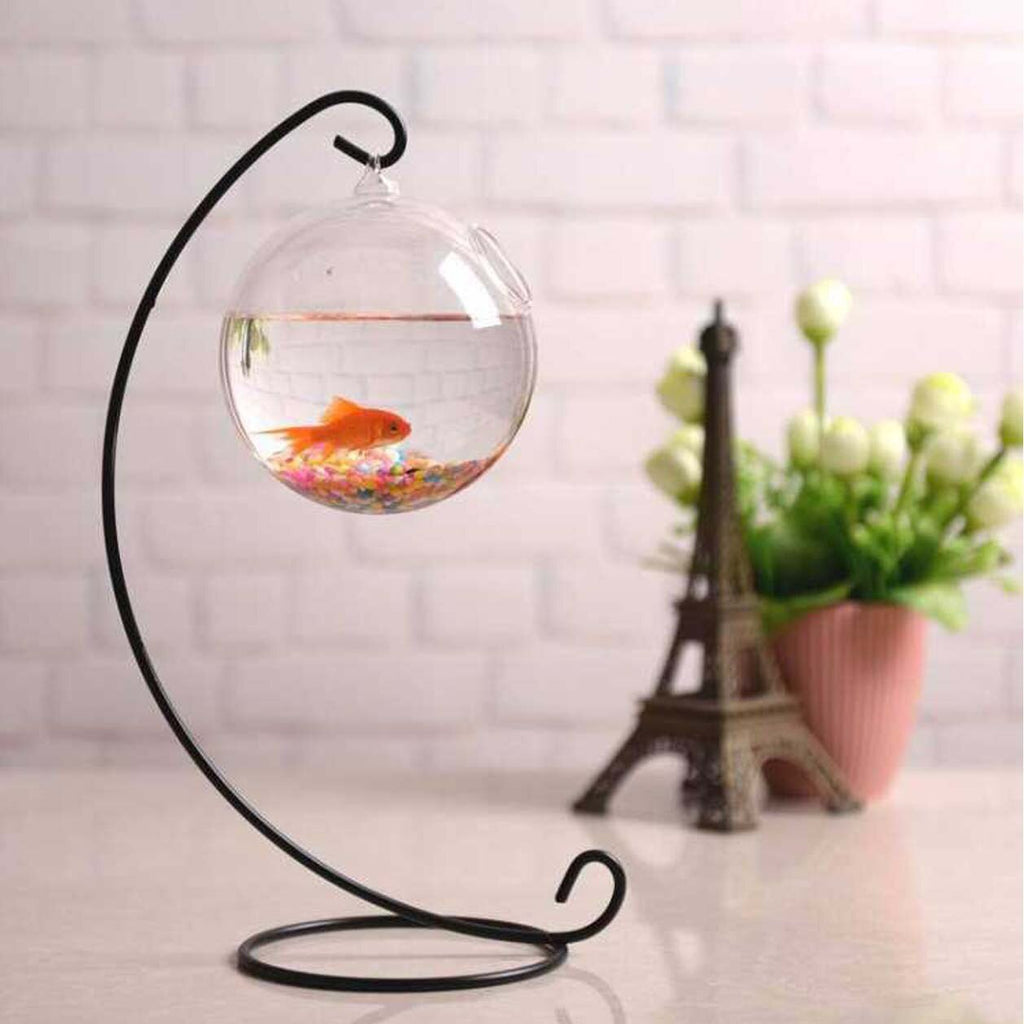 Home/Office  Hanging Aquarium Plant