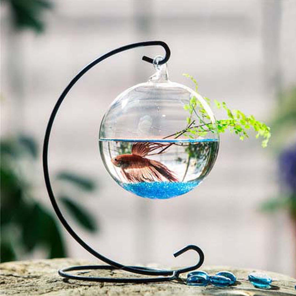 Home/Office  Hanging Aquarium Plant
