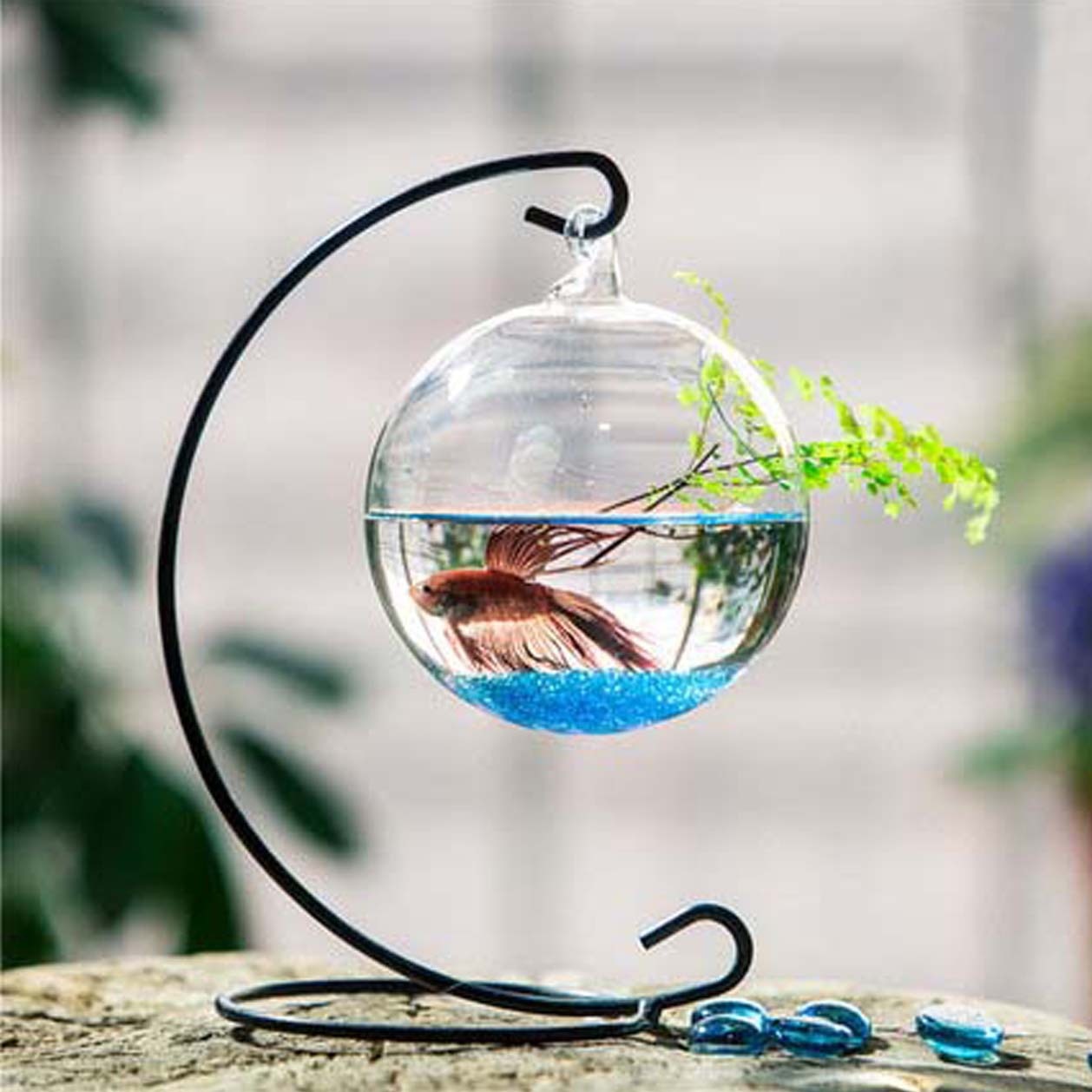 Home/Office  Hanging Aquarium Plant