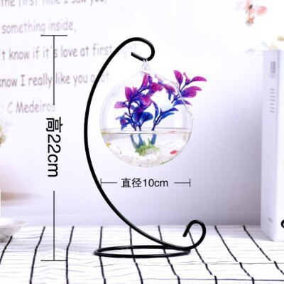 Home/Office  Hanging Aquarium Plant