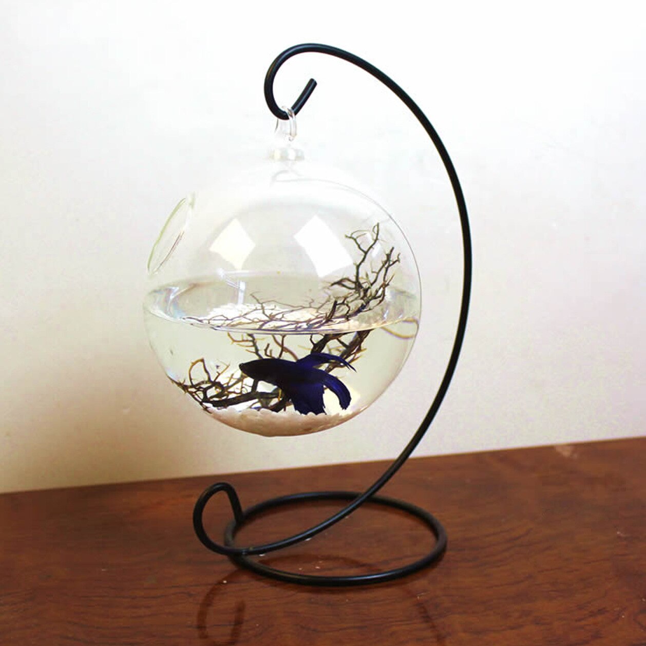 Home/Office  Hanging Aquarium Plant