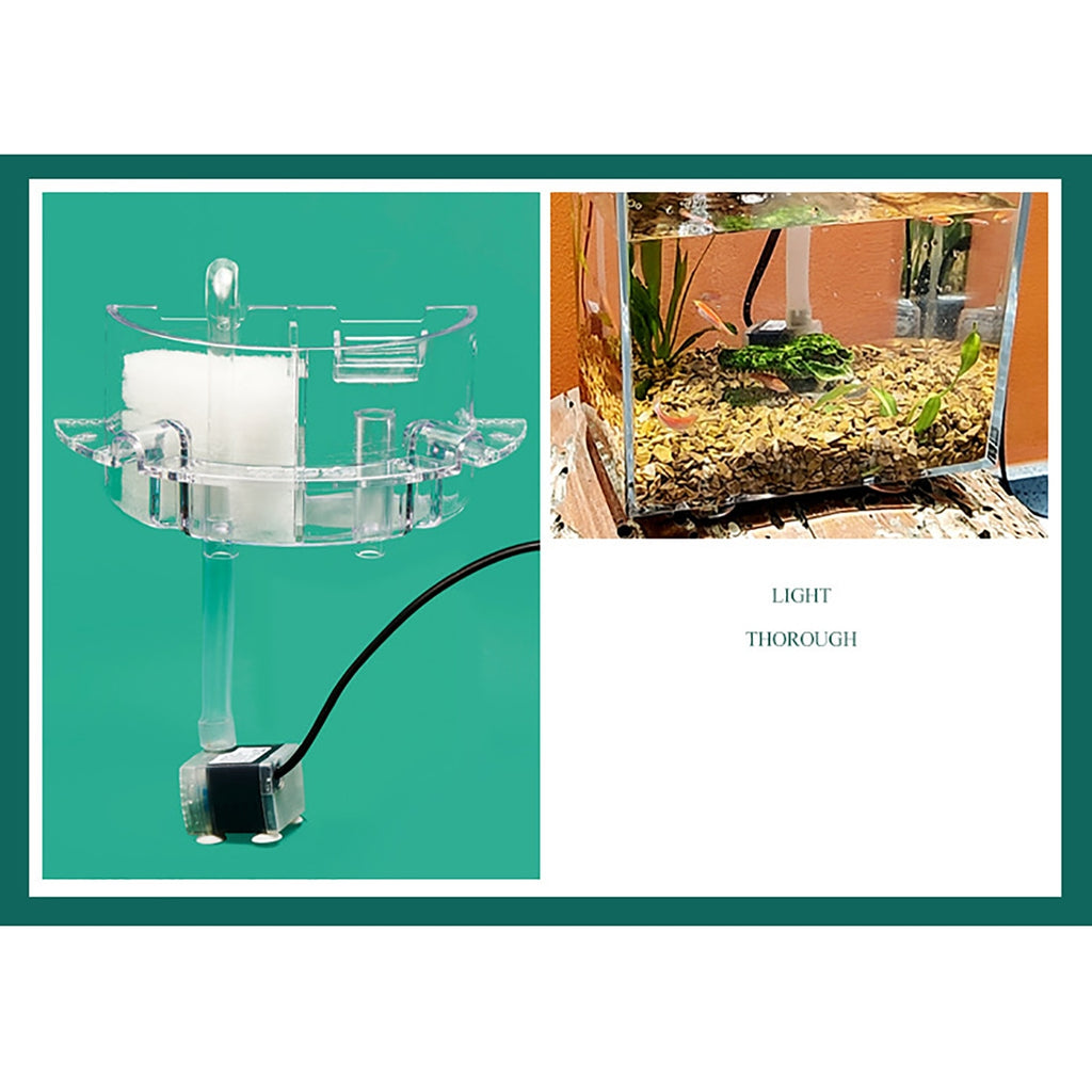 Mini Acrylic Aquarium