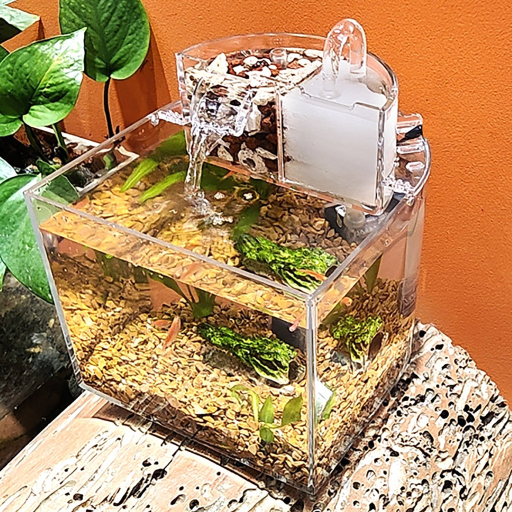 Mini Acrylic Aquarium