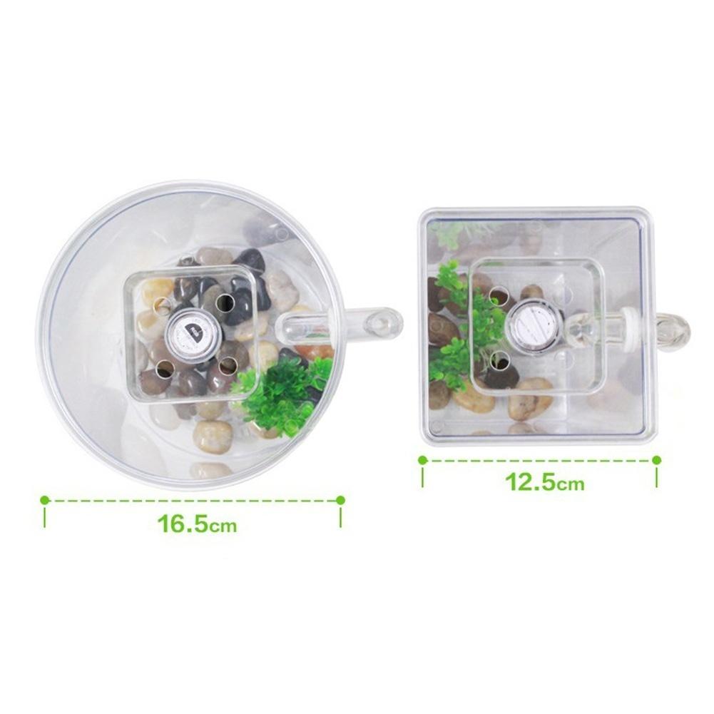 Self Cleaning Fish Tank Bowl