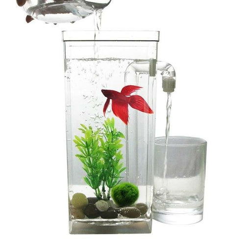 Self Cleaning Fish Tank Bowl