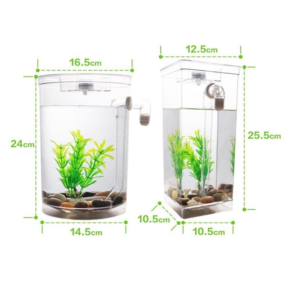 Self Cleaning Fish Tank Bowl
