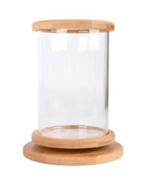 Mini Glass Fish Tank