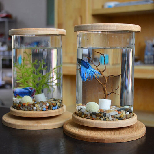 Mini Glass Fish Tank