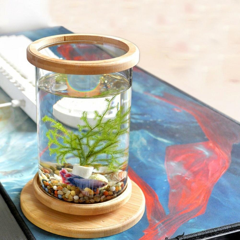 Mini Glass Fish Tank