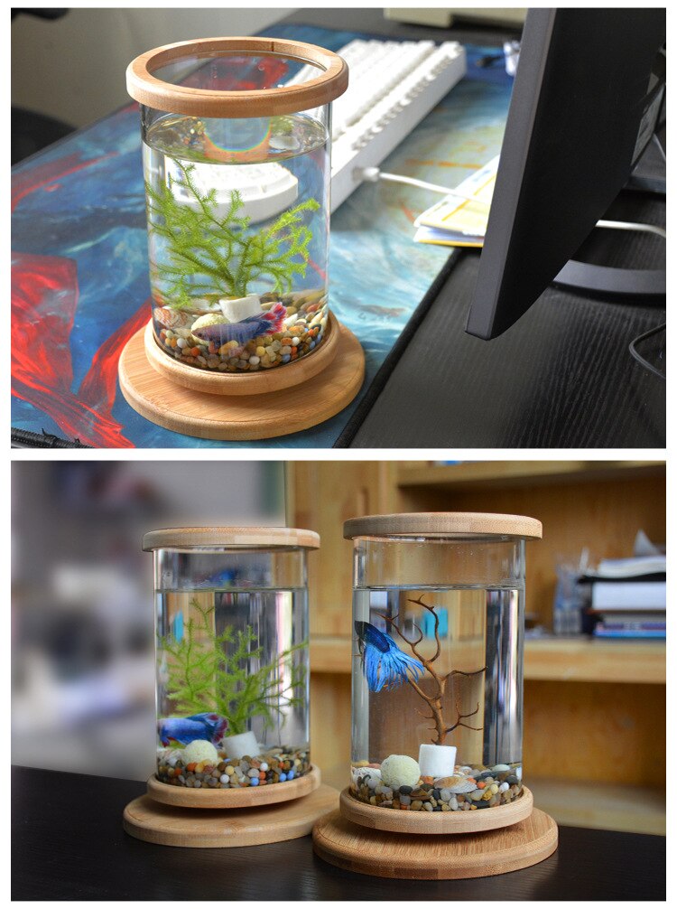 Mini Glass Fish Tank