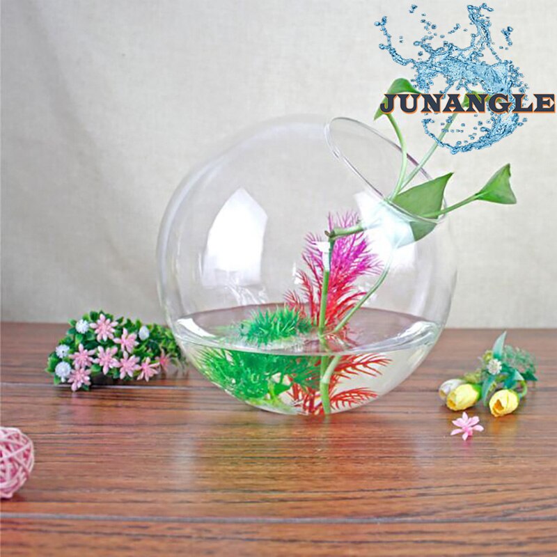Mini Round Fish Tank Vase