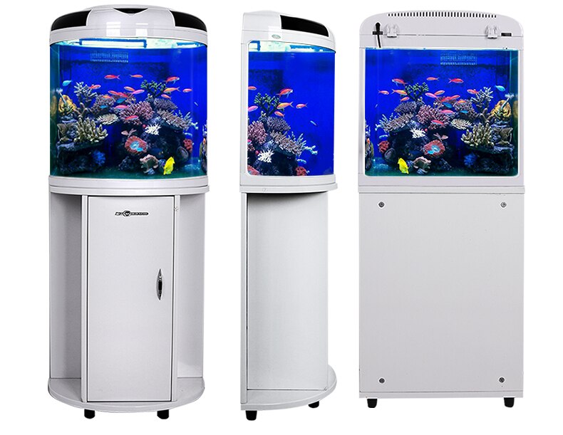 Minjiang New style aquarium decoration marine  fish tank plants